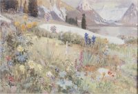 Традиции заповедного Алтая. Месяцеслов. Июль