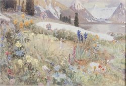 Традиции заповедного Алтая. Месяцеслов. Июль