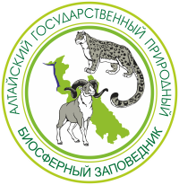 Обновление на сайте. Новое в разделе Публикации