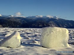 ОРНИТОЛОГИЧЕСКИЕ НОВОСТИ С УЧЕТНОГО МАРШРУТА НА ЯЙЛИНСКОЙ ТЕРРАСЕ И НЕ ТОЛЬКО. Февраль 2018