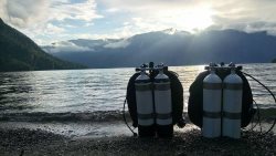 Подводный мир заповедного озера в июне