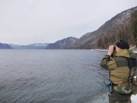 Лёд тронулся…