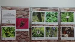 Фотовыставка «Восьминогие охотники окрестностей Золотого озера» работает в национальной библиотеке Республики Алтай. 