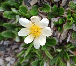 Контрастный июнь