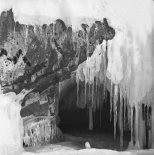 Альфред Поздняков. Знакомство с заповедником. Воспоминания