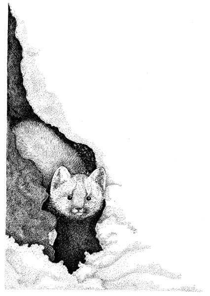 Рисунки Ирины Филус