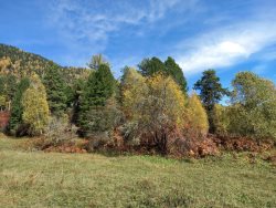 Осенняя пора