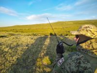 Из-за тёплой весны хариус на высокогорном озере Джулукуль отнерестился очень рано