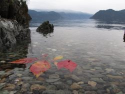 Славное ты, Золотое озеро!