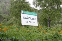 «Заповедный огород» кордона Байгазан. По соседству с дикой природой