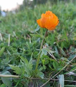 На закате лета