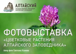Новая фотовыставка Алтайского заповедника - в здании Правительства Республики Алтай