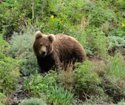 5 июня во всем мире отмечают Всемирный день окружающей среды