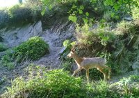 Традиции заповедного Алтая. Месяцеслов. Август