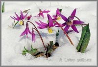 С Днём защитника Отечества!