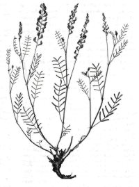 Новые материалы на сайте