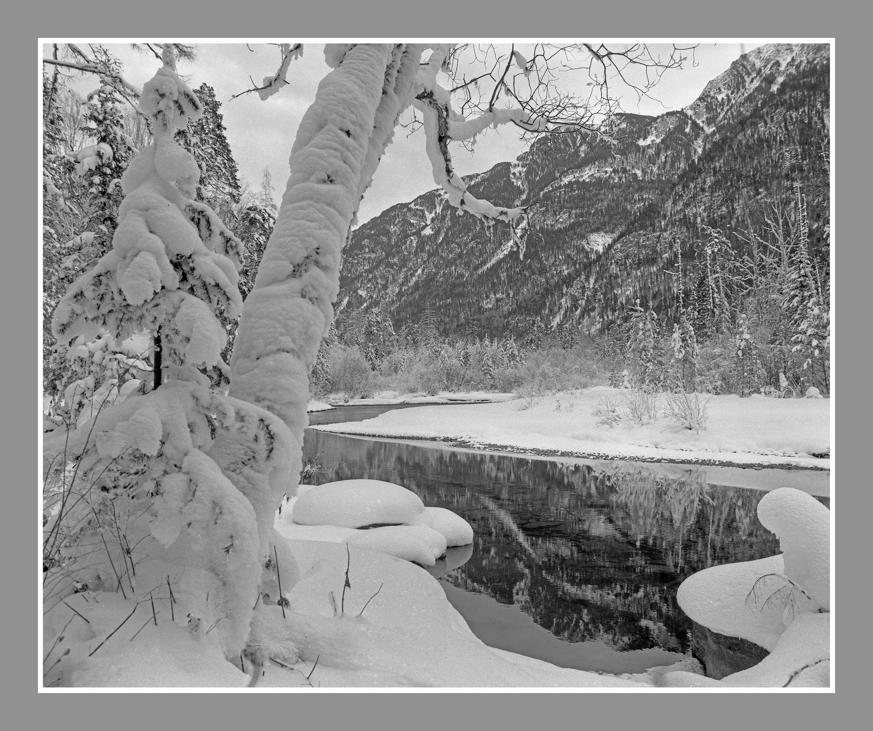 Полынья на Кокши