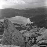 Альфред Поздняков. Знакомство с заповедником. Воспоминания