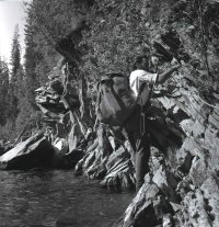 Нехожеными тропами (записки лесника).