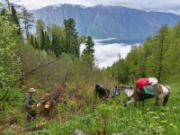 В Алтайском заповеднике прошли плановые весенние полевые работы