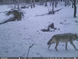 Весенние перемены