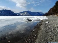 ОРНИТОЛОГИЧЕСКИЕ НОВОСТИ С УЧЕТНОГО МАРШРУТА НА ЯЙЛИНСКОЙ ТЕРРАСЕ И НЕ ТОЛЬКО. Март 2019