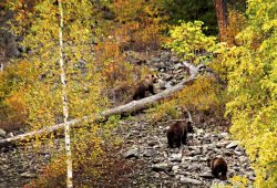 Кордон Байгазан. Осенние зарисовки