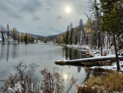 Конец осенней поры