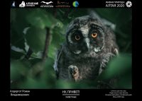 Кто ты, «Летний фаворит»?