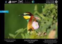 XI Международный фотоконкурс «Живая природа Алтая» в новом формате