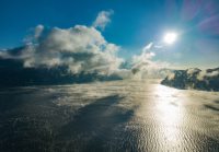 Итоги фенологических наблюдений. Каким был 2020 год?