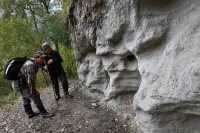 Заповедные солонцы Алтын-Кёля