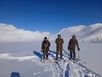 В Алтайском заповеднике прошёл зимний учёт животных в местах зимовок копытных