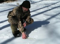 Готовимся к учёту снежного барса