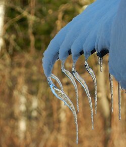  Фенологические заметки. Итоги февраля