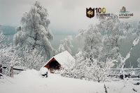 Первый научно-технический совет юбилейного года прошел в Алтайском заповеднике