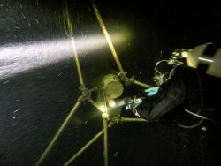 ОЗЕРО ТЕЛЕЦКОЕ РАСКРЫВАЕТ СВОИ ТАЙНЫ.