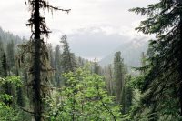 Подготовка к пожароопасному периоду в Алтайском заповеднике в 2012 году