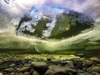 Подводный мир заповедного озера. По обе стороны льда