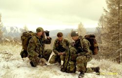 ИЗ ПЛЕМЕНИ СНЕЖНОГО БАРСА