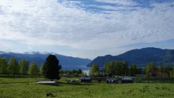 В селе Яйлю зарегистрирована община тубаларов «Альчи»