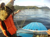 Почти полкилометра сетей обнаружено и уничтожено  в ходе рейда на Телецком озере