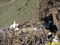 19 февраля - День орнитолога