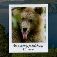 Алтайскому заповеднику – 92!