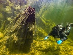 Дайв-станция "Зазеркалье" и её гости