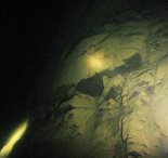 Тайны глубин Телецкого озера. В Алтайском заповеднике. Фото Романа Воробьёва и Татьяны Клименко