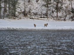 «Случайное фото»