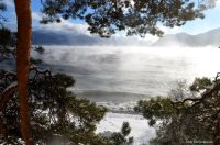 ОРНИТОЛОГИЧЕСКИЕ НОВОСТИ С УЧЕТНОГО МАРШРУТА НА ЯЙЛИНСКОЙ ТЕРРАСЕ И НЕ ТОЛЬКО. Декабрь 2022