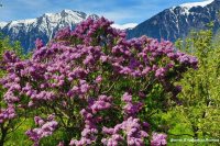 Поздравляем с юбилейным днём рождения Марину Михайловну Туймешеву!