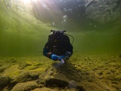 Прогулка в зазеркалье заповедного озера